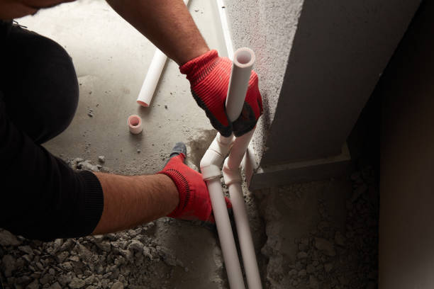 Best Plumbing Inspection Services  in Flandreau, SD