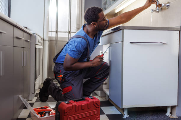 Best Septic Systems  in Flandreau, SD